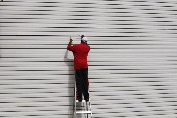 Best Stucco Siding  in Han, GA